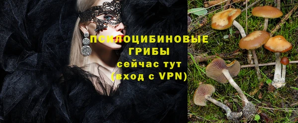 прущая мука Баксан