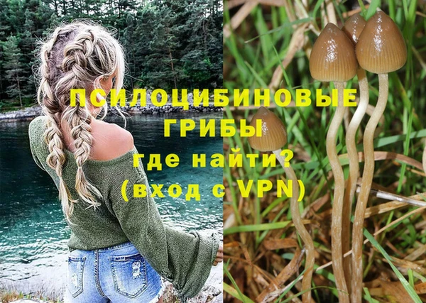 крисы Балахна