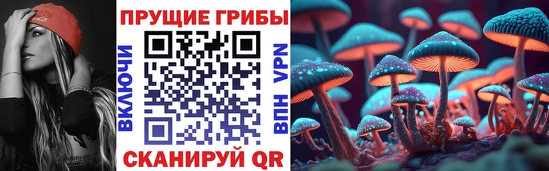 закладка  Семилуки  мориарти наркотические препараты  Псилоцибиновые грибы мицелий 